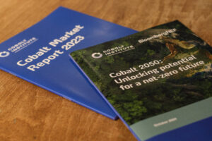 20241119_COBALTINSTITUTE_BRUSSELS_NETZERO2050SARAHBASTIN_2712