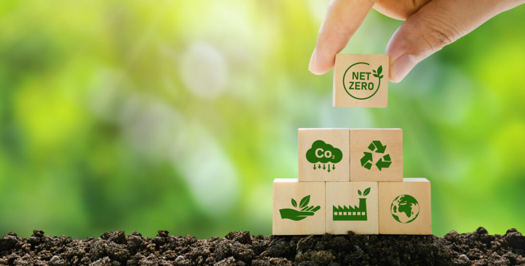 Cobalt 2050: Unlocking Potential for a Net-Zero Future