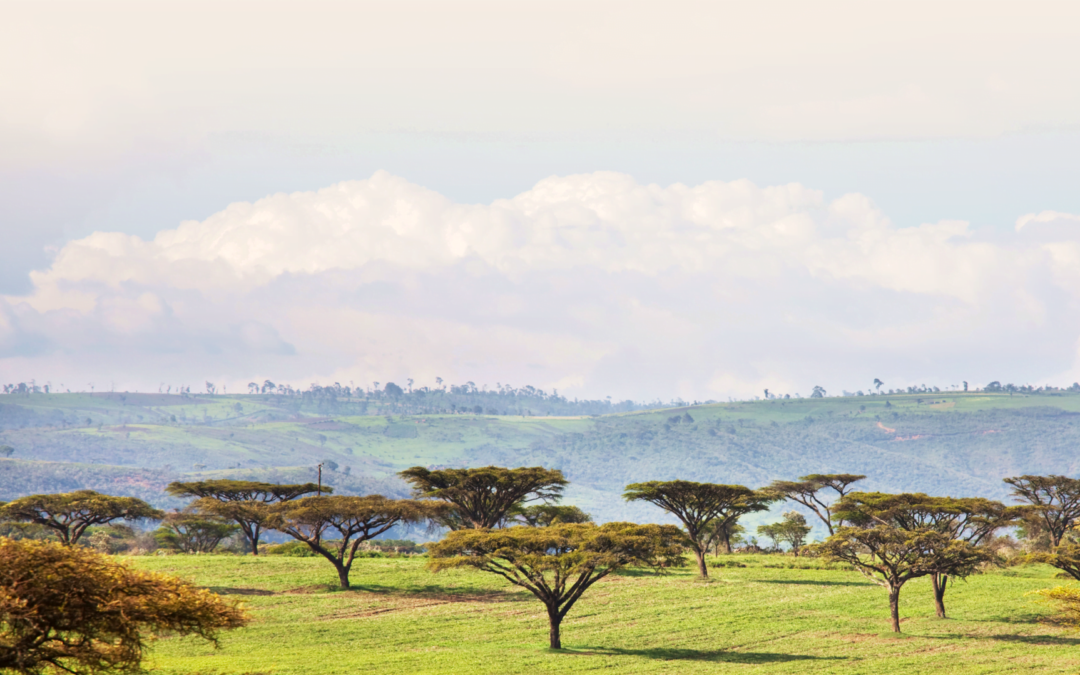 Environmental and human rights due diligence: key reflections from the cobalt industry