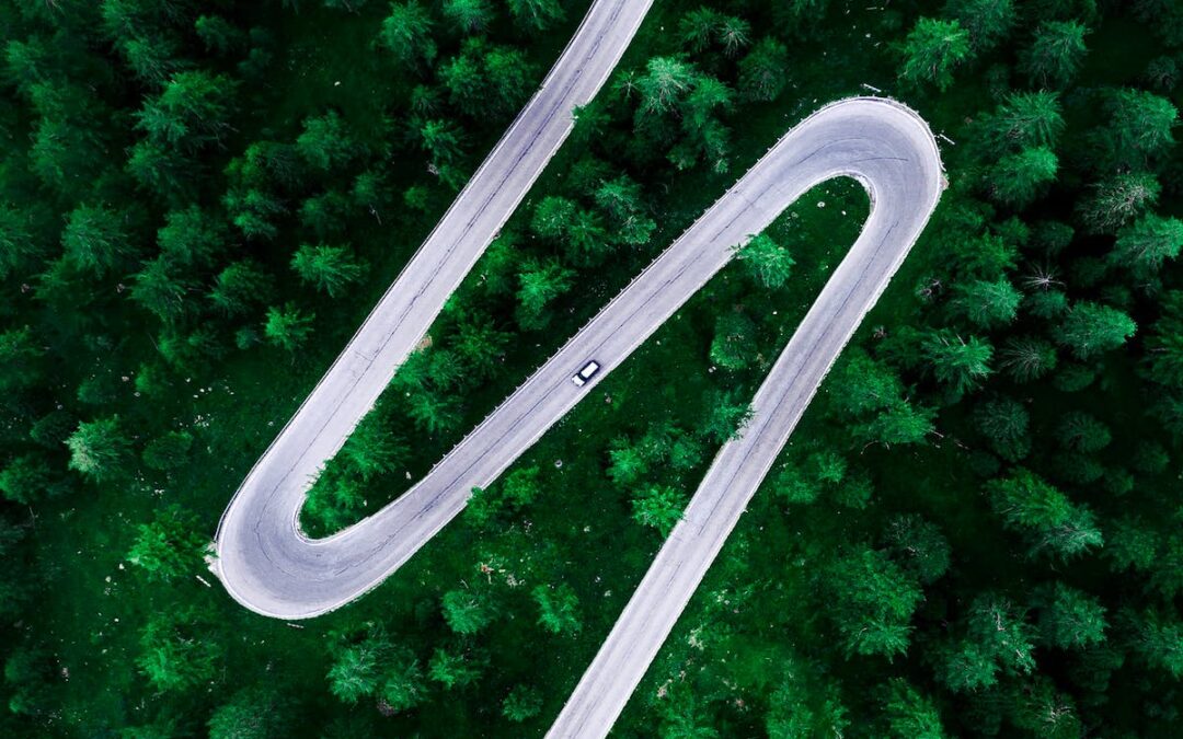 The new Batteries Regulation of the EU and the contribution of cobalt