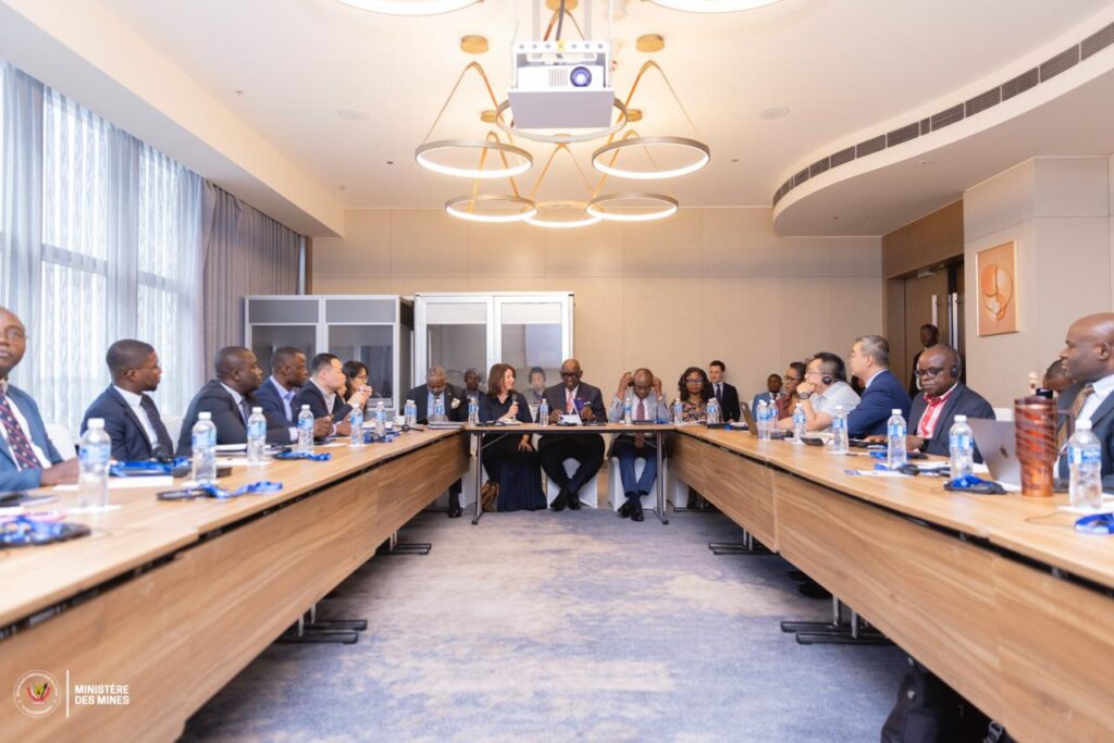 Strengthening ESG for a Competitive Cobalt Future: Cobalt Institute Hosts Workshop in Kinshasa