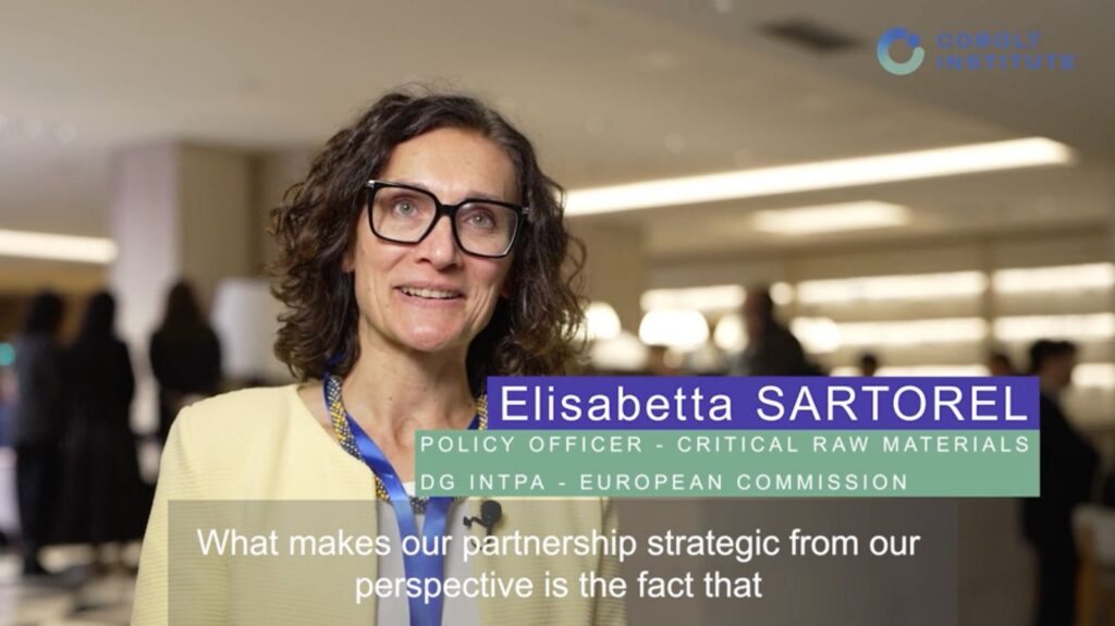 #CobaltInsights: What Makes Critical Raw Materials Partnerships Strategic? | Elisabetta Sartorel, European Commission